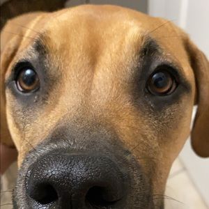 Meet your Posher, Bethany